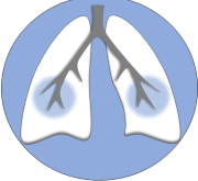 (c) Lungenpraxis-lichtenberg.de